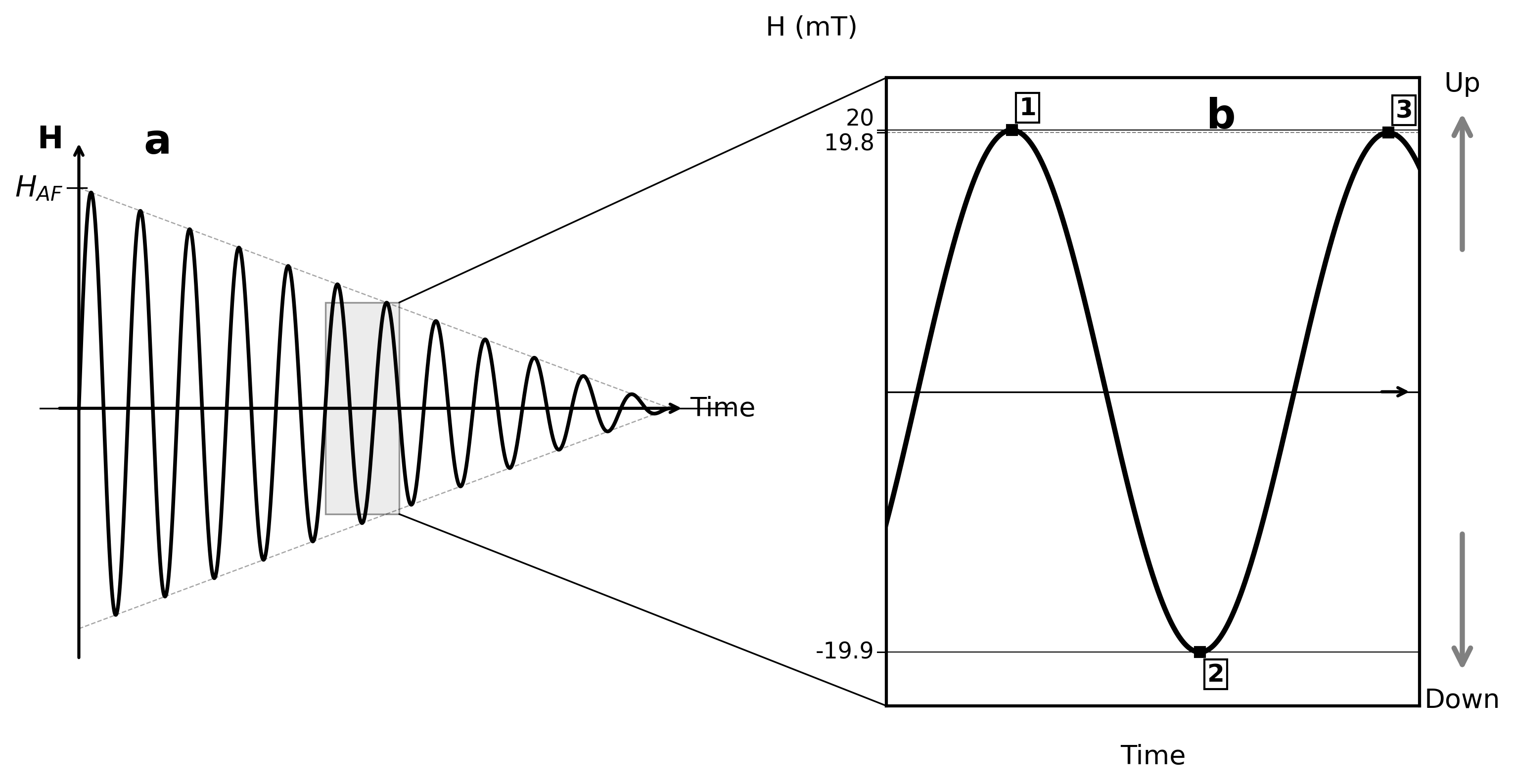 Schematic representation of alternating-field demagnetization. (a) Generalized waveform of the magnetic field used in AF demagnetization showing magnetic field versus time; the waveform is a sinusoid with linear decay in amplitude; the maximum amplitude of magnetic field (peak field) is H_AF; the stippled region is amplified in part (b). (b) Detailed examination of a portion of the AF demagnetization waveform showing two successive peaks and an intervening trough.
