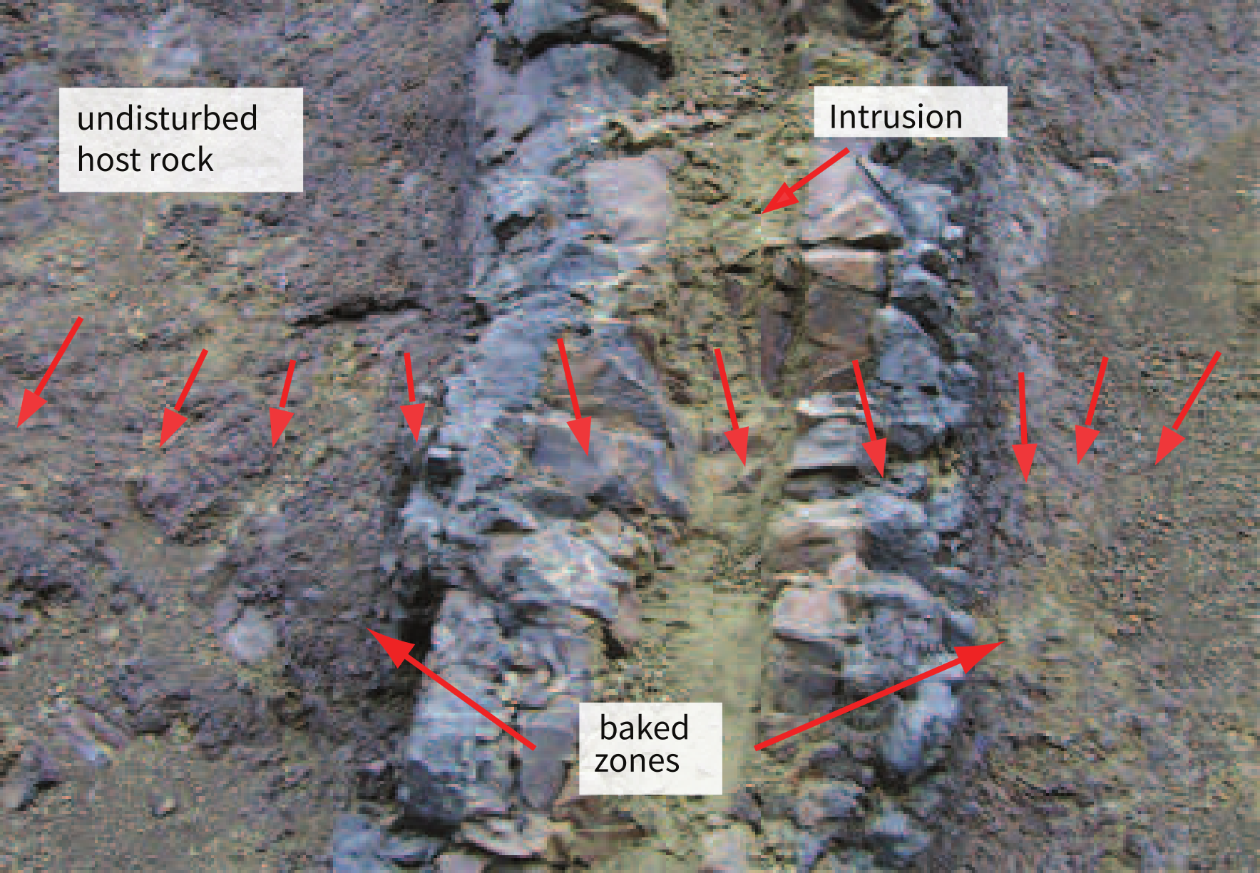 Photograph of an igneous dike intrusion with labeled baked contact zones on both sides, flanked by undisturbed host rock, with red arrows marking sampling locations.