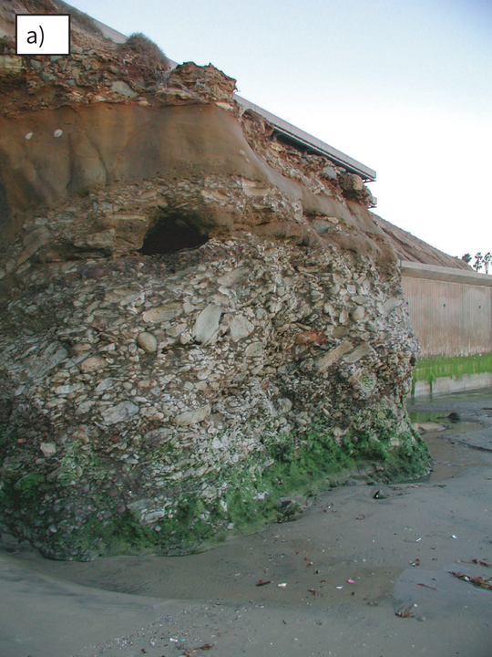 Photograph of an exposed conglomerate outcrop with angular clasts of various sizes embedded in a matrix.
