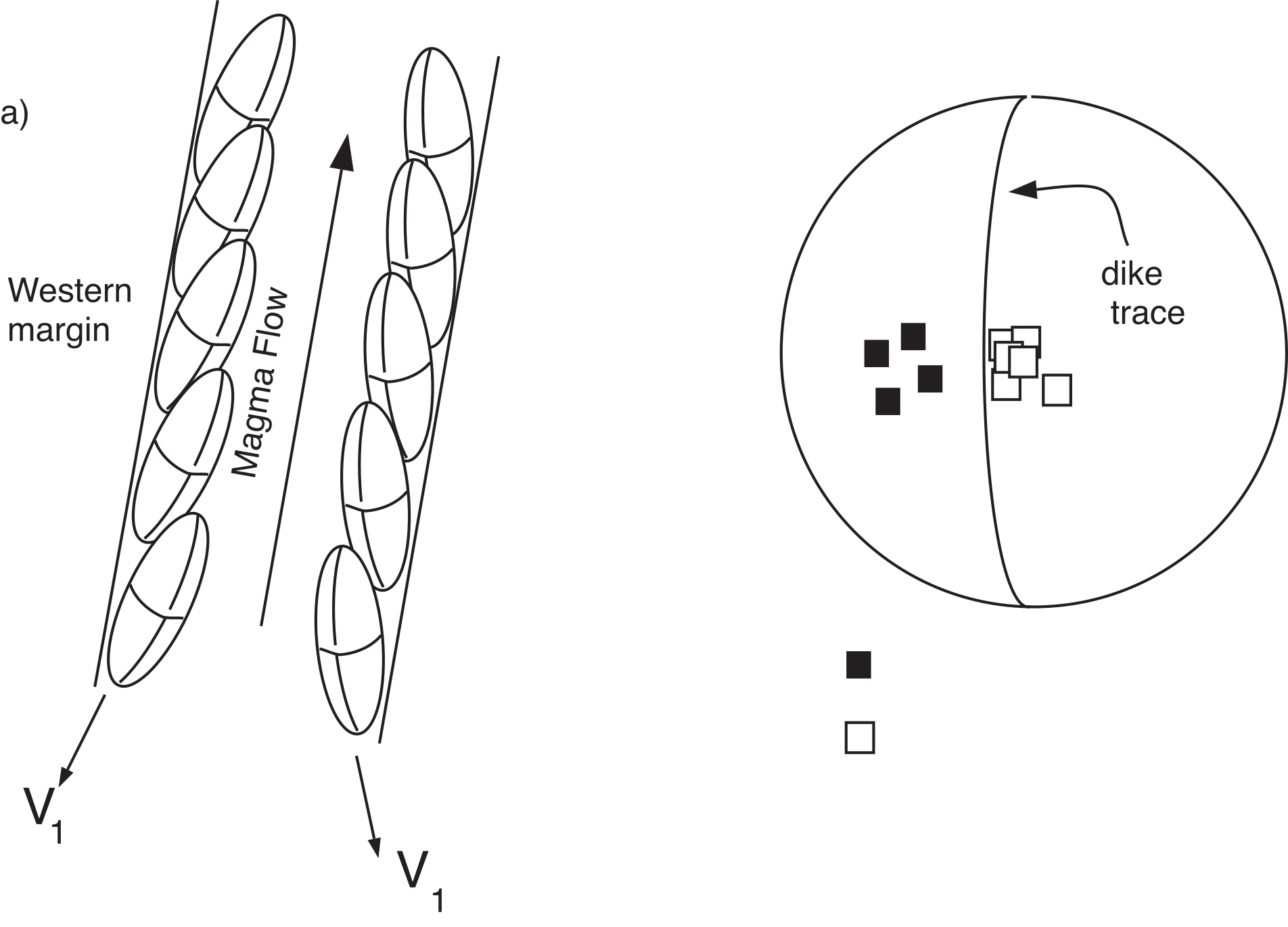 Schematic of elongate particles imbricated against both margins of a volcanic dike during magma flow, paired with a stereonet showing V1 directions from eastern and western margins on opposite sides of the dike trace.