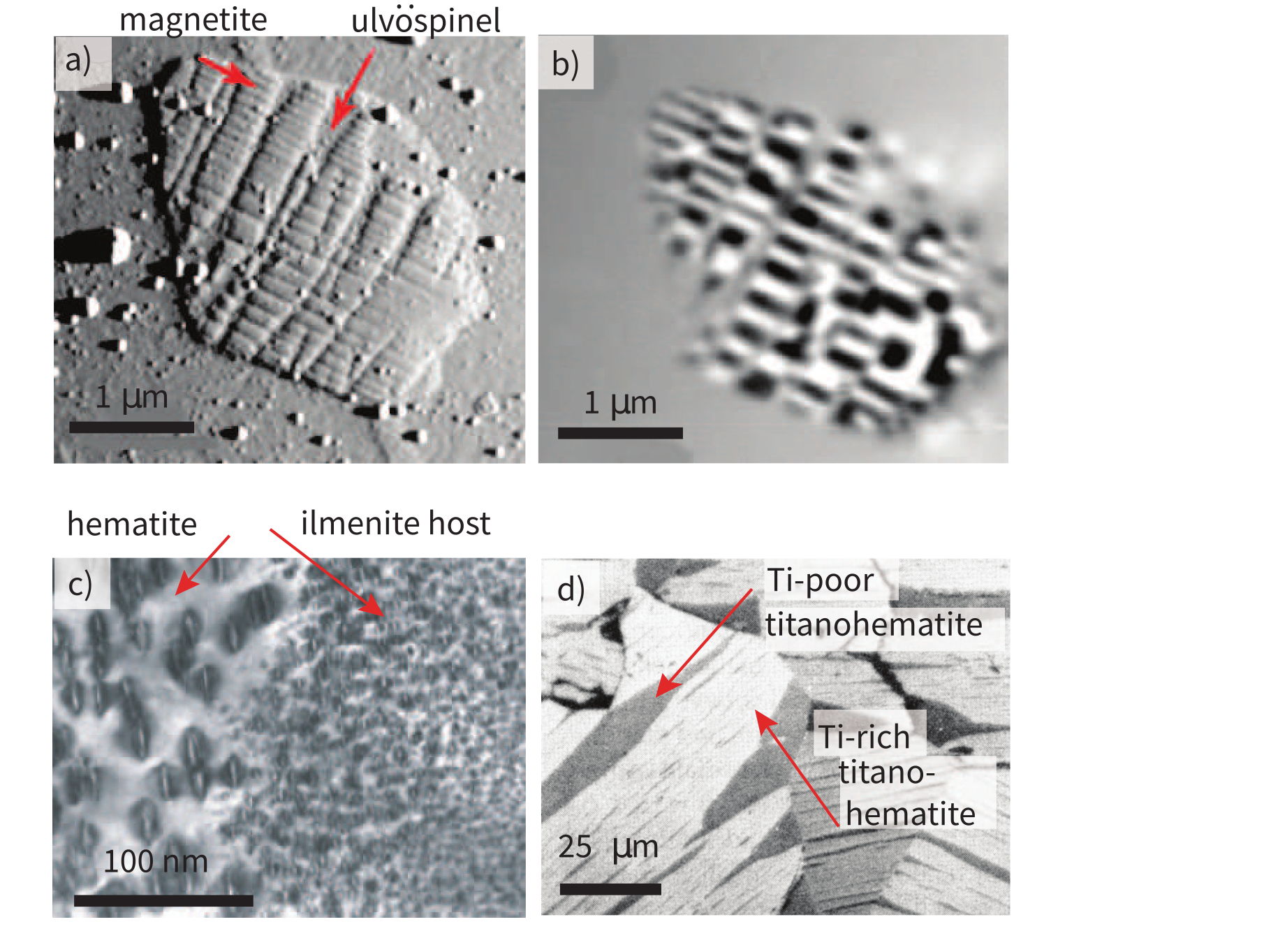 a) Atomic force micrograph image of magnetite inclusion in clinopyroxene. The topographically low areas are ulvöspinel while the higher areas are magnetite. b) Magnetic force micrograph of magnetic domains (black and white are oppositely magnetized). The ulvöspinel lamellae are essentially non-magnetic and are gray. c) Transmission electron micrograph of ilmenite host with hematite exsolution lamellae. Lamellar size gets smaller with proximity to edge. d) Photomicrograph of titanohematite exsolution lamellae. Dark bands are Ti-rich (high magnetization, low T_c), light grey bands are Ti-poor (low magnetization, high T_c). [a and b are from , c) from , d) is modified from S. Haggerty in .]