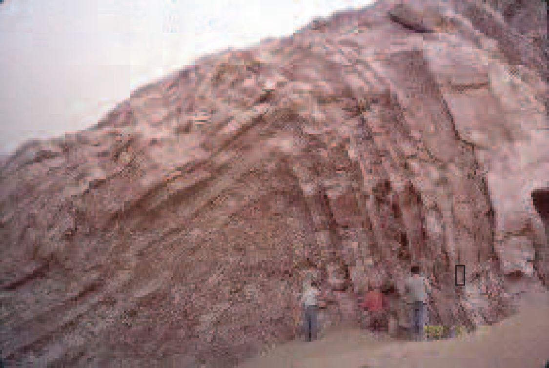 Photograph of steeply folded reddish sedimentary beds exposed in an outcrop, with geologists for scale.
