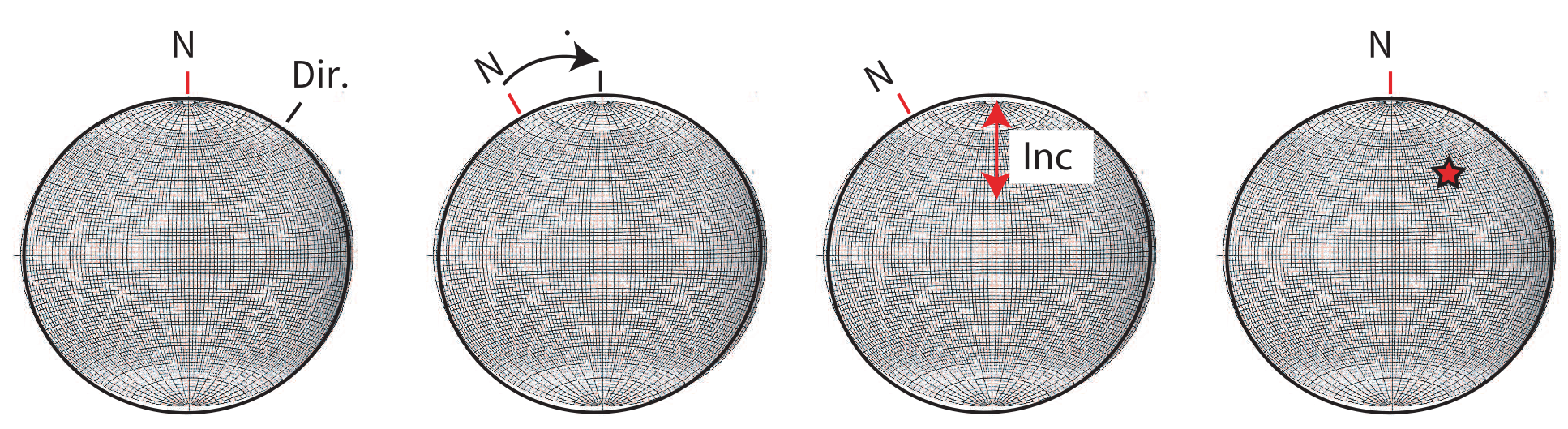 Four-step sequence on equal area nets showing how to plot a direction: mark declination, rotate net, count inclination inward, and mark the final point.