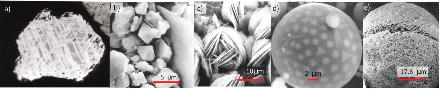 Five SEM images of magnetic particles: a) titanomagnetite with exsolution lamellae, b) rounded detrital grains, c) hematite rosettes on clay, d) fly-ash spherule, e) pitted cosmic spherule with Fe dendrites.