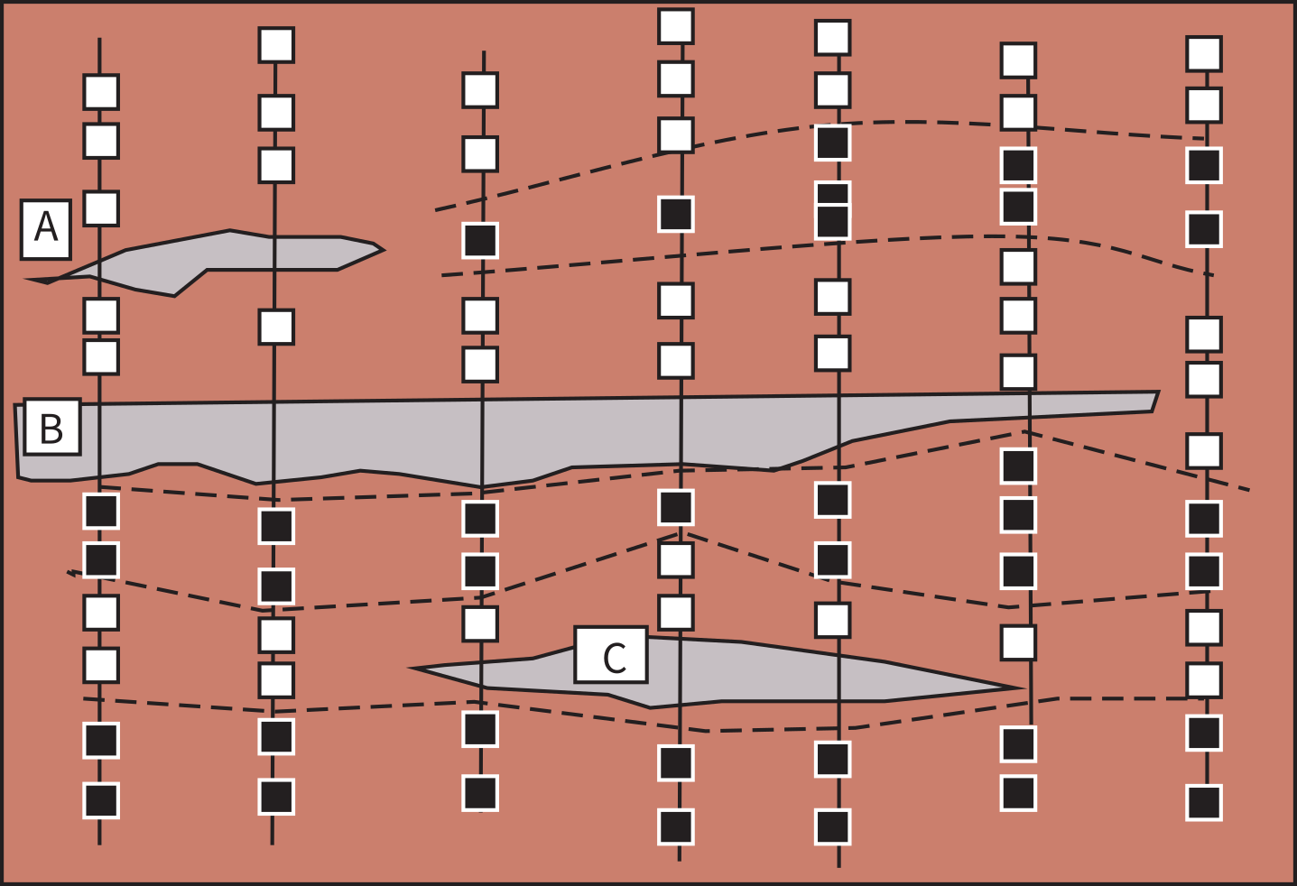 Cross-section of laterally correlated stratigraphic columns with normal (solid) and reverse (open) polarity sites, sand bodies A-C in gray, and dashed lines tracing magnetic isochrons across sections.