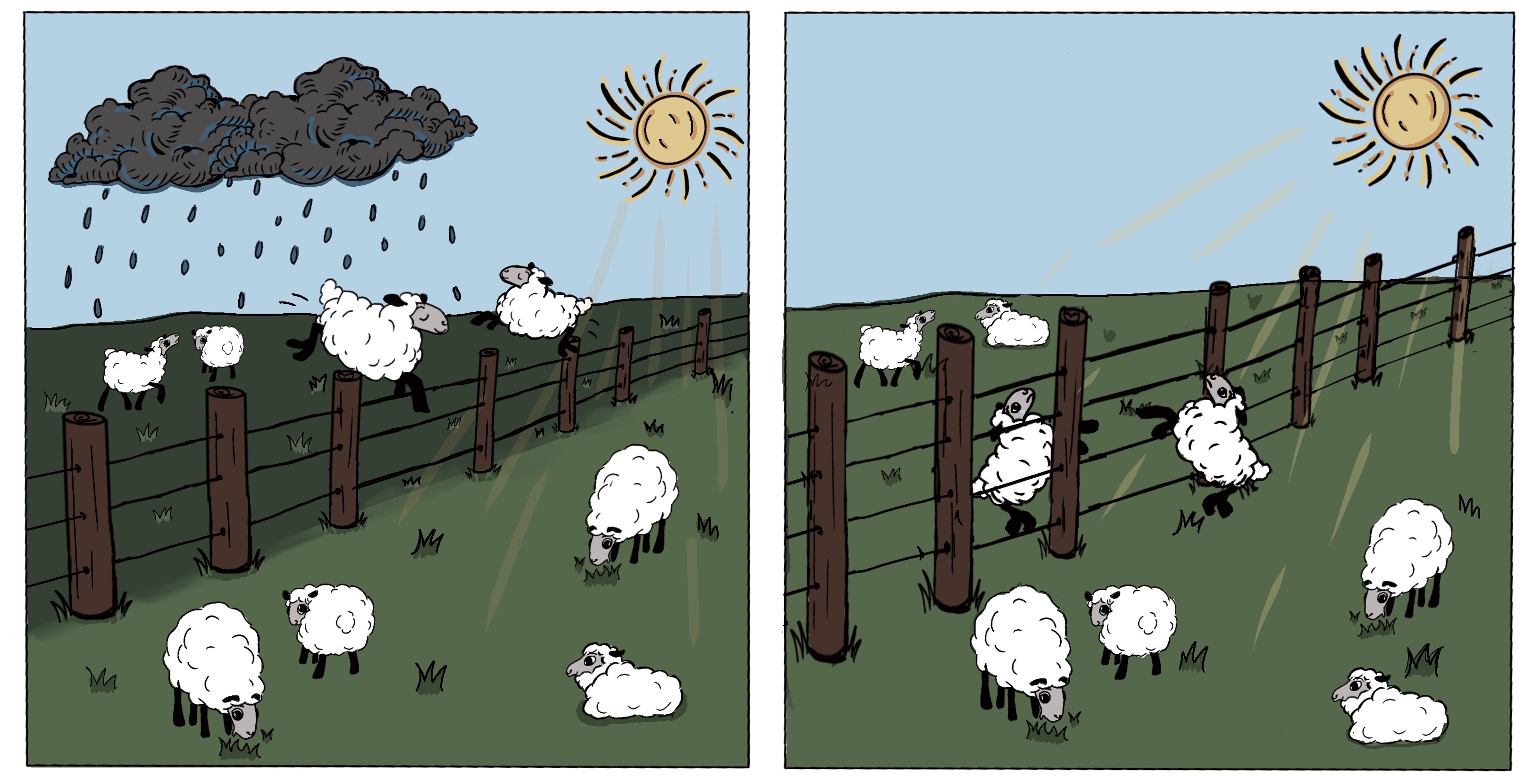 Two-panel illustration of dynamic equilibrium and blocking. Left panel shows sheep jumping over a low fence between a rainy side and a sunny side, with more sheep on the sunny side. Right panel shows the fence has grown taller, trapping the unequal distribution in place as sheep can no longer jump over. Illustration by Kate Akin.