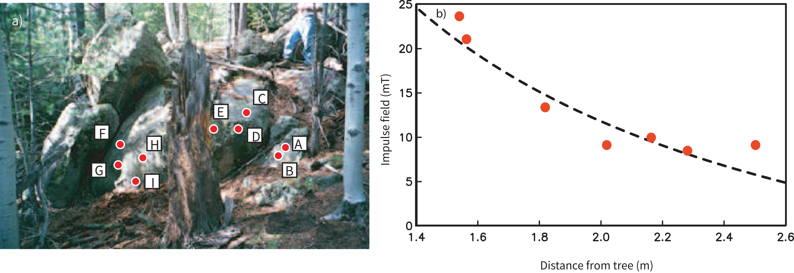 Two panels: a) outcrop photo with labeled sampling sites and charred tree stump from lightning strike, b) plot of impulse field versus distance from tree showing decay with a best-fit curve for a 300,000 Amp line current.