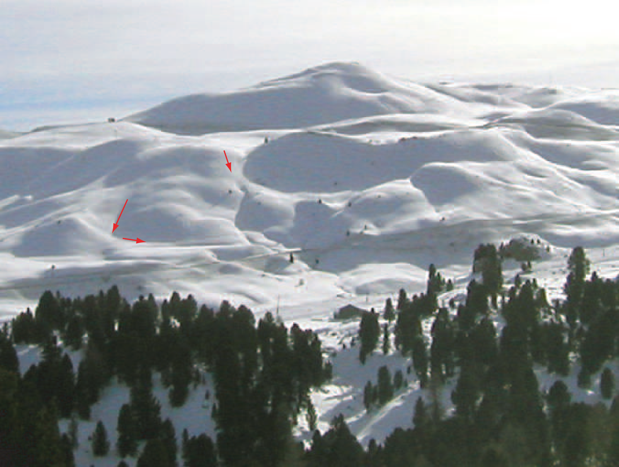 Photograph of a snow-covered ski slope with red arrows indicating the direction and magnitude of steepest descent on the terrain.