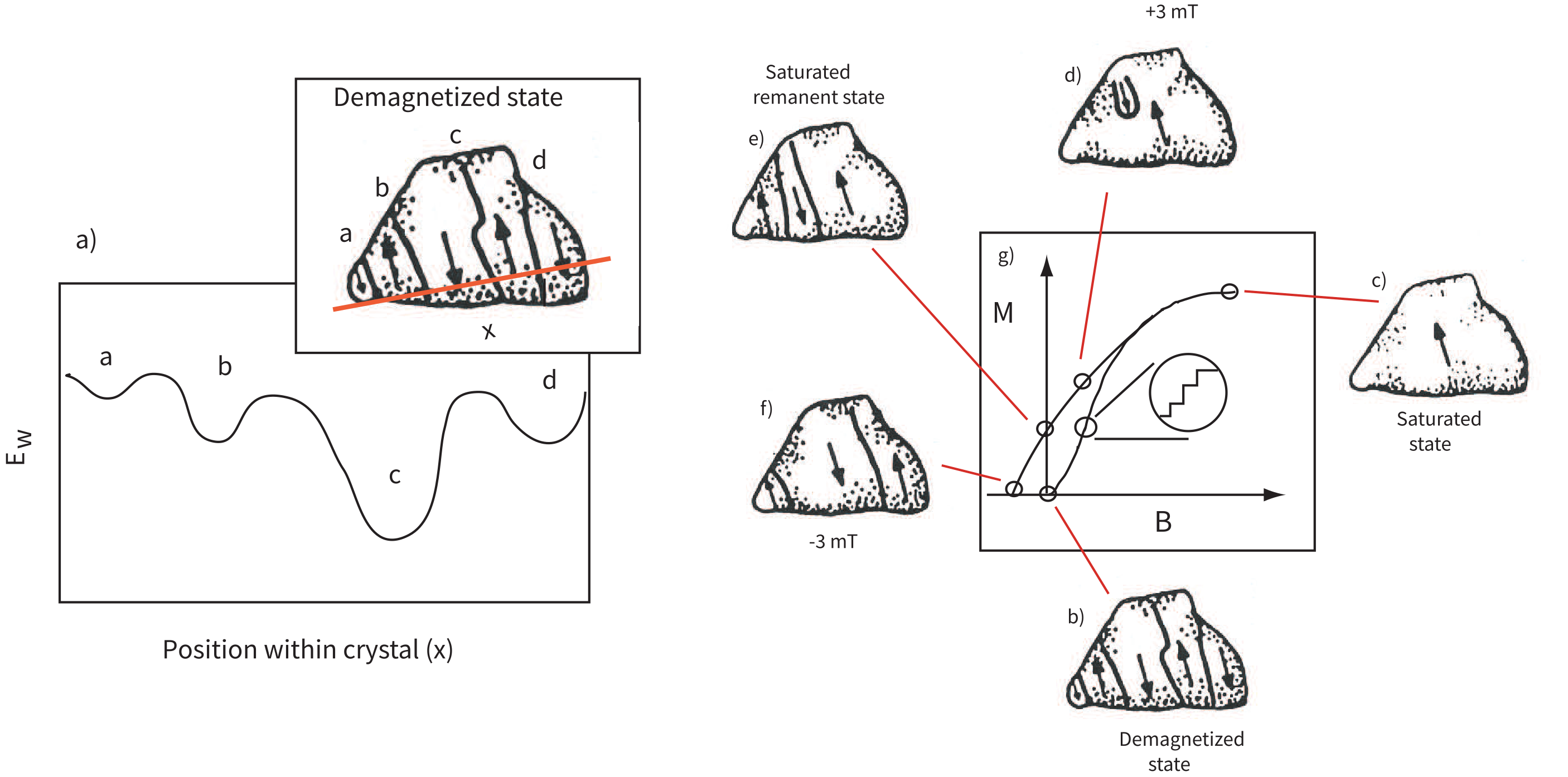 Multi-panel figure: (a) wall energy profile with local minima a-d across a grain with domain wall positions shown in inset; (b-g) schematic domain states through a hysteresis cycle from demagnetized to saturated to remanent states, with resulting loop showing Barkhausen jumps.