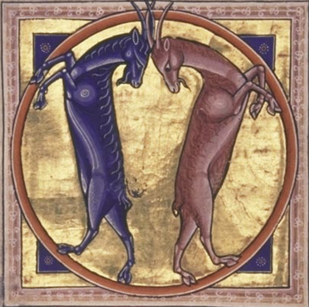 Wild goats depicted in the Aberdeen Bestiary, ca. 1200. Bestiaries were collections of fables and allegories, most often lavishly illustrated, featuring animals, plants, or even stones. The descriptive information
about the natural world within such documents, including those preserved from Medieval Europe, represent a
database of sorts. Image from The University of Aberdeen: The Aberdeen Bestiary Project