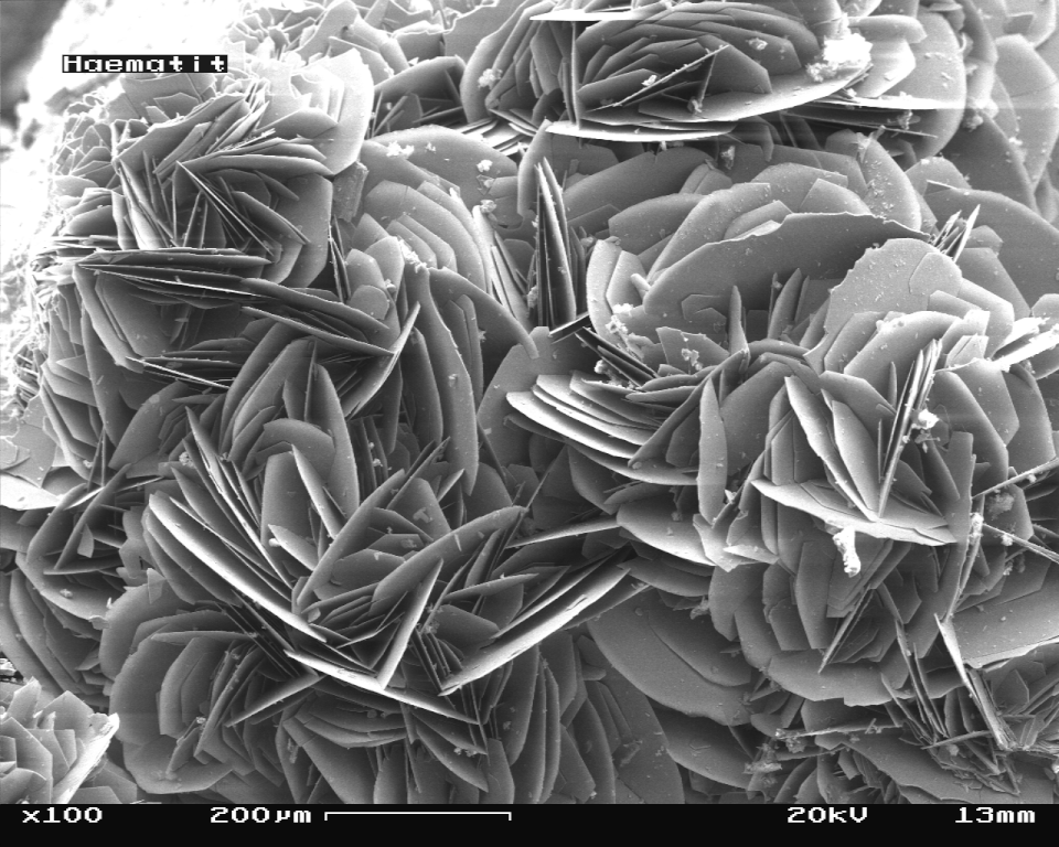 Scanning electron microscope image of hematite. Image is ~800 μm across. Source: Wikimedia Commons.